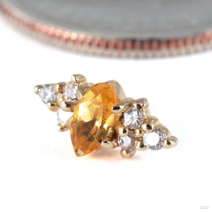 Mimosa Press-fit End in 14k Yellow Gold with Citrine and Diamonds from Tawapa