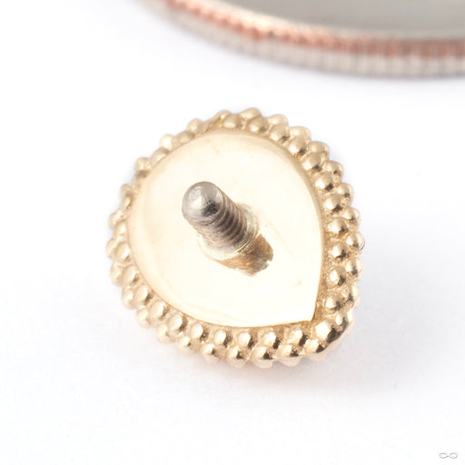 Mini Afghan Pear Threaded End in Gold from BVLA back view