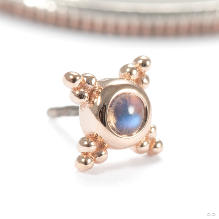 Mini Kandy Press-fit End in 14k Rose Gold with Rainbow Moonstone from BVLA