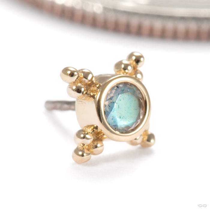 Mini Kandy Press-fit End in 14k Yellow Gold with Labradorite from BVLA