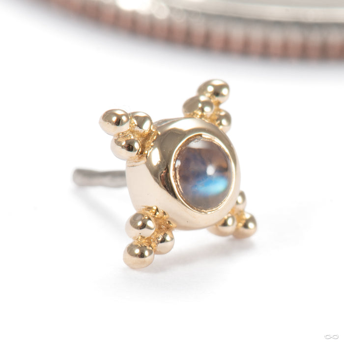 Mini Kandy Press-fit End in 14k Yellow Gold with Rainbow Moonstone from BVLA