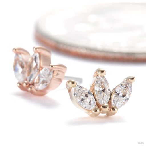 Mini Moet Press-fit End in Gold from Buddha Jewelry in assorted materials