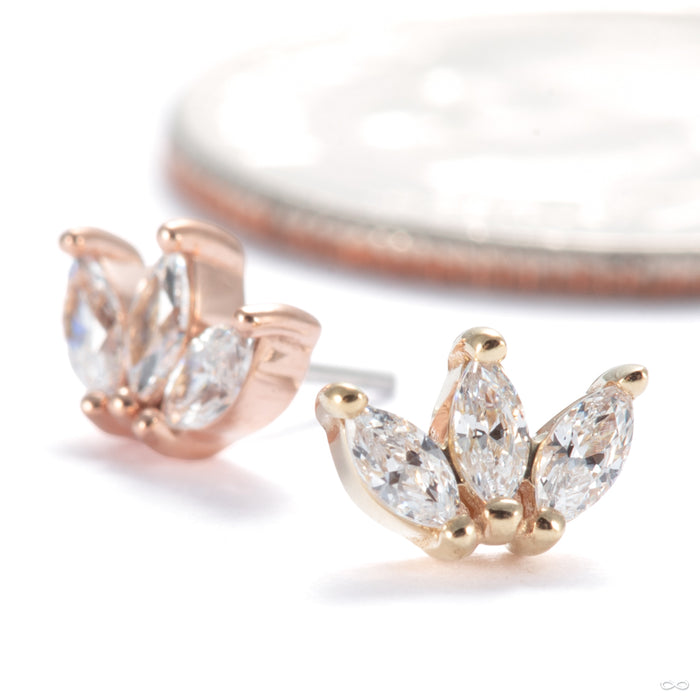 Mini Moet Press-fit End in Gold from Buddha Jewelry in assorted materials