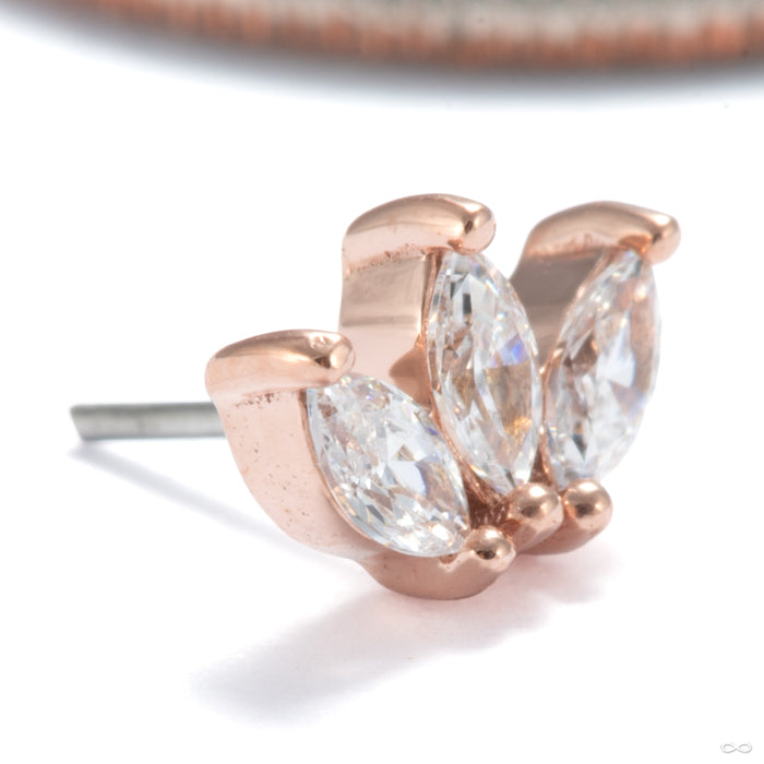 Mini Moet Press-fit End in 14k Rose Gold with Clear CZ from Buddha Jewelry