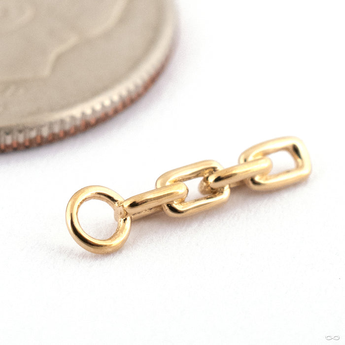 Memento Charm in Gold from Ember Body Jewelry in 16g 14k Yellow Gold