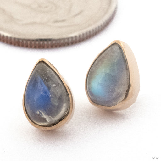 Moonstone Teardrop Press-Fit End in Gold from Diablo Organics group photo