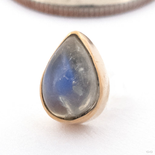 Moonstone Teardrop Press-Fit End in 18k Yellow Gold from Diablo Organics