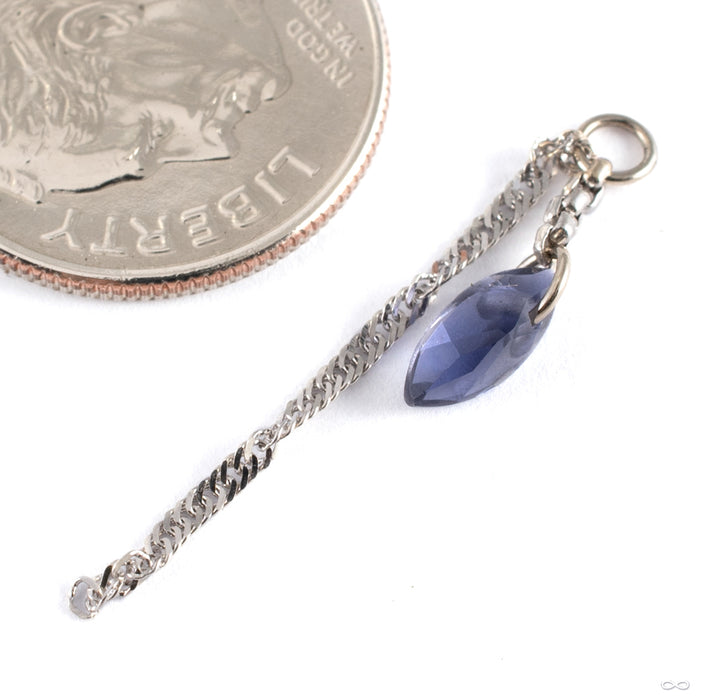 NYC Charm in  14k White Gold with Iolite from Hialeah