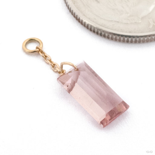 Natural Tourmaline Charm in 14k Yellow Gold with Pink Tourmaline  from Diablo Organics