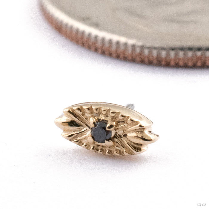 Nazar Press-fit End in 14k Yellow Gold with Black Diamond from Tether Jewelry