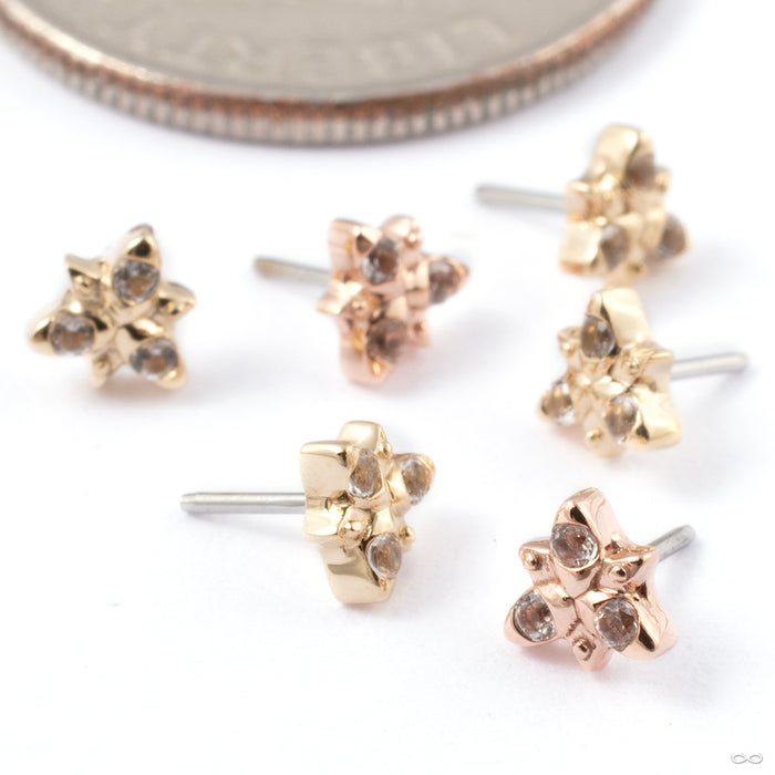 Neo Press-fit End in Gold from Tether Jewelry in assorted materials
