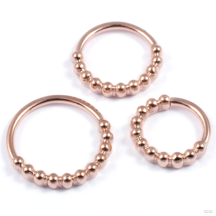 Oaktier Seam Ring in Gold from BVLA in rose gold