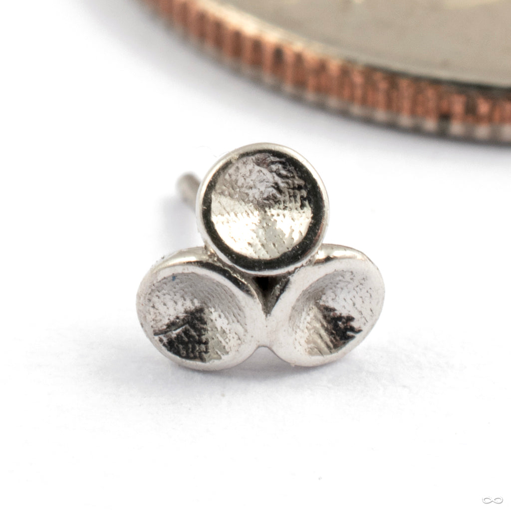 Pressfit Jewelry — Infinite Body Piercing, Inc.