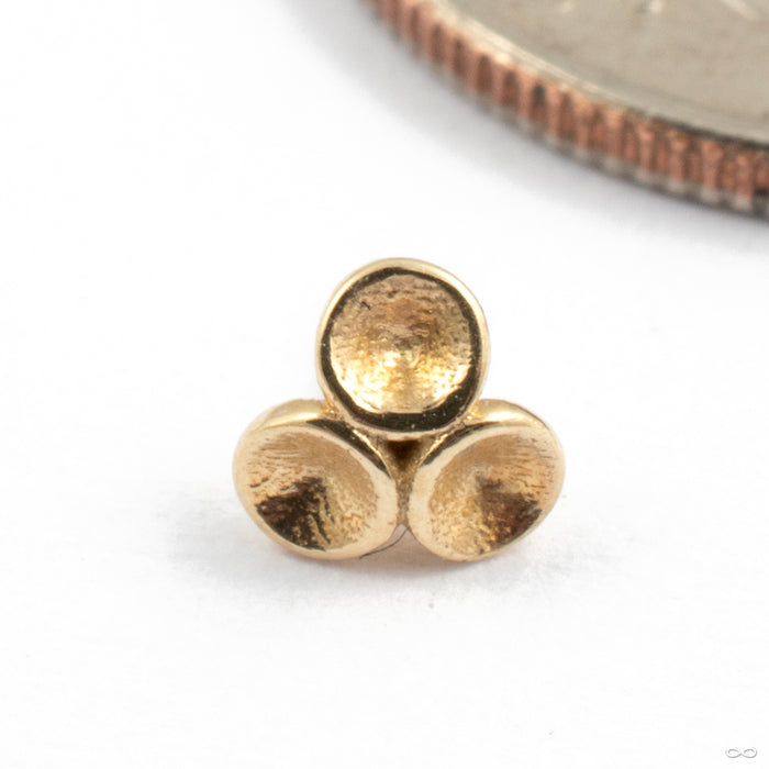Oceana Press-Fit End in Gold from Tawapa in yellow gold