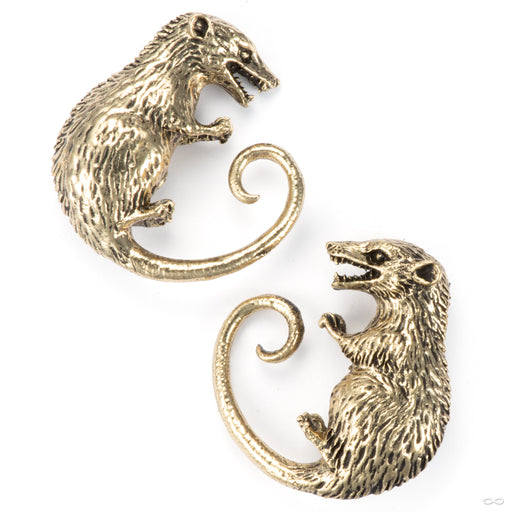 Opossum in Brass from Symmetry Body Jewelry
