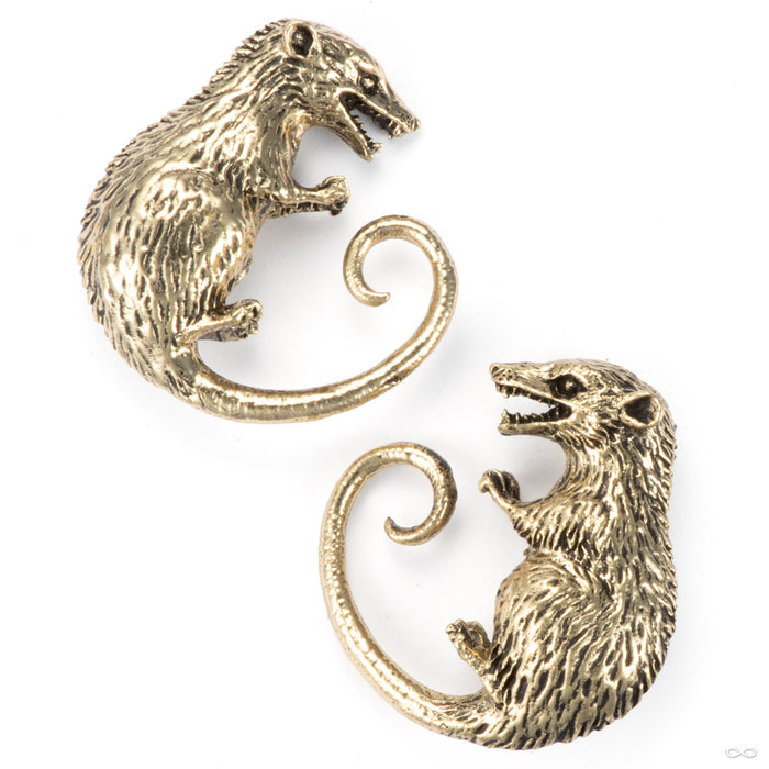 Opossum in Brass from Symmetry Body Jewelry