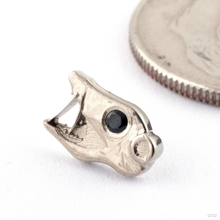 Opossum Press-fit End in Gold from Dusk Body Jewelry in 14k White Gold with Black Spinel