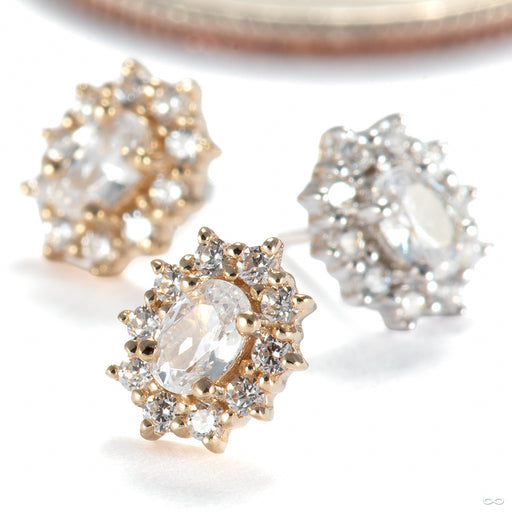 Oval Halo Press-fit End in Gold from Ember Body Jewelry in assorted materials