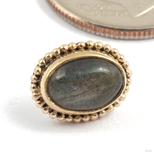 Oval Press-Fit End in Gold from Oracle in yellow gold with labradorite