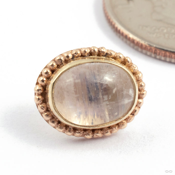 Oval Press-Fit End in Gold from Oracle in yellow gold with moonstone