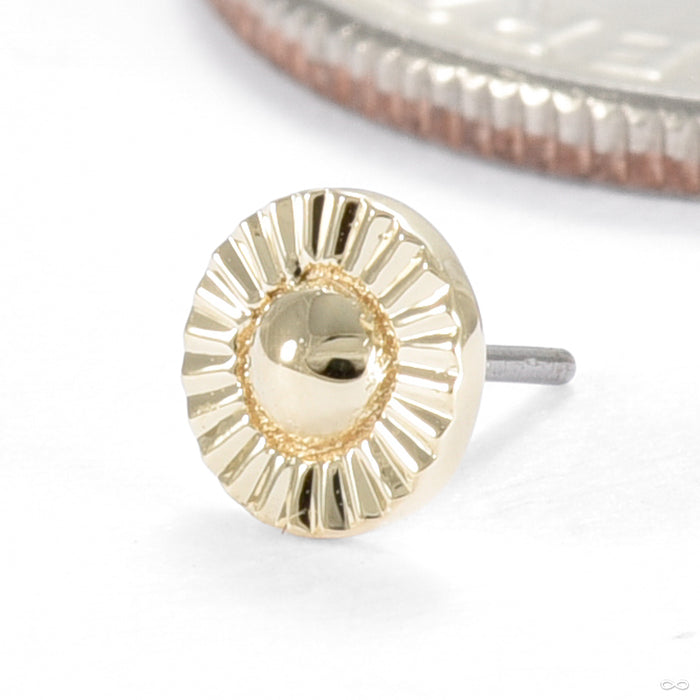 Paintress Press-fit End in Gold from Seasons Handmade yellow gold small