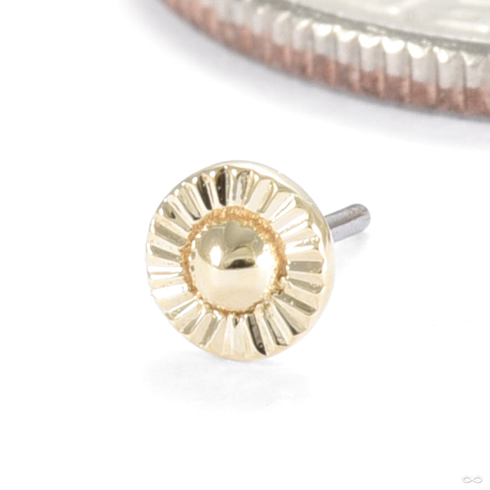 Paintress Press-fit End in Gold from Seasons Handmade yellow gold small