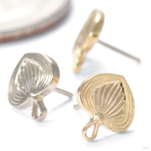 Pamaypay Press-fit End in Gold from Regalia in assorted materials