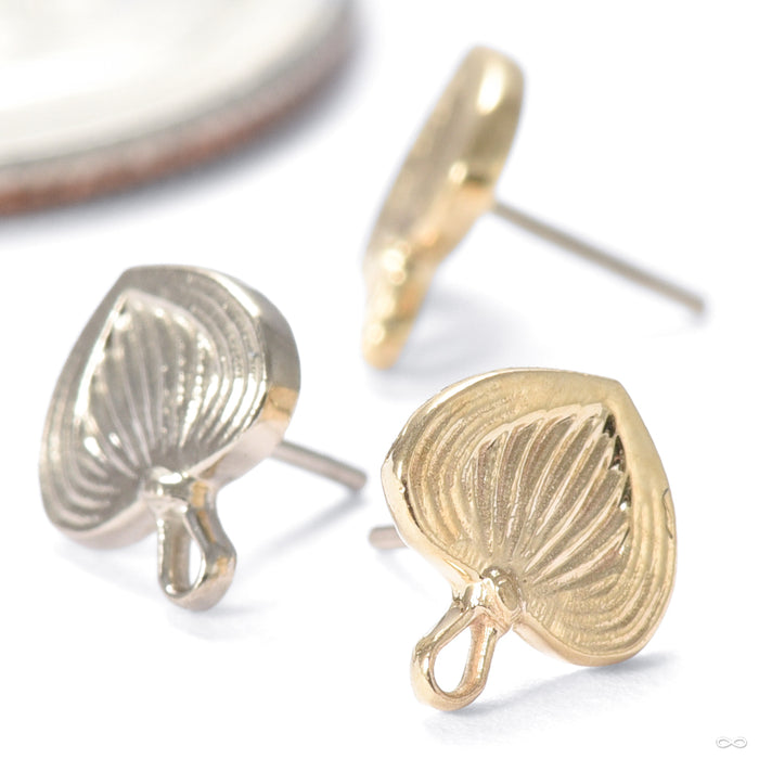Pamaypay Press-fit End in Gold from Regalia in assorted materials