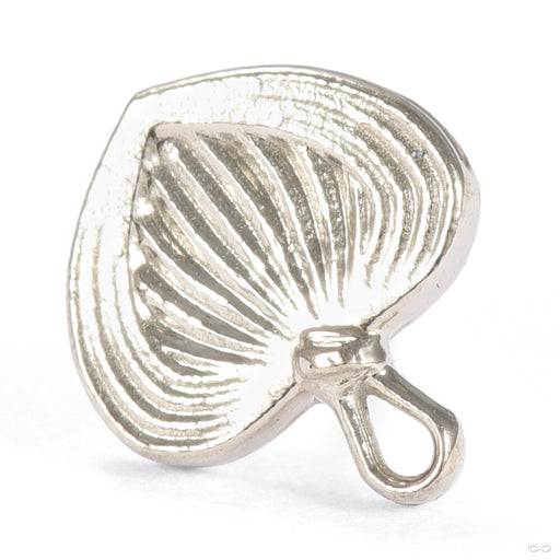 Pamaypay Press-fit End in Gold from Regalia in white gold