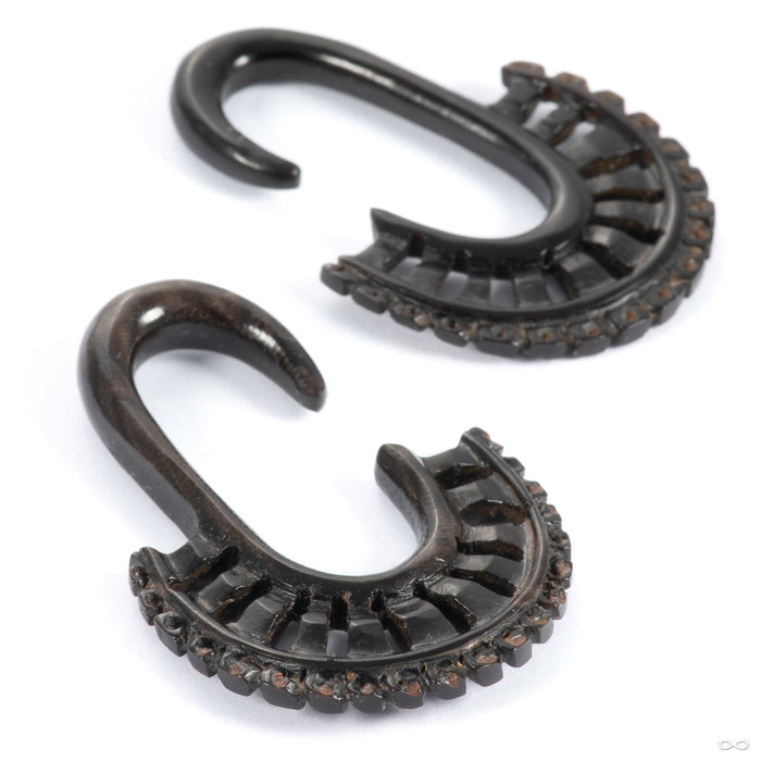 Papyrus from Tawapa in 4g Horn