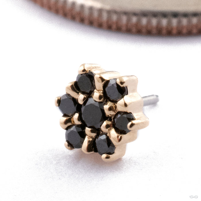 Peony Press-fit End in 14k Yellow Gold with Black Diamond from Tether Jewelry