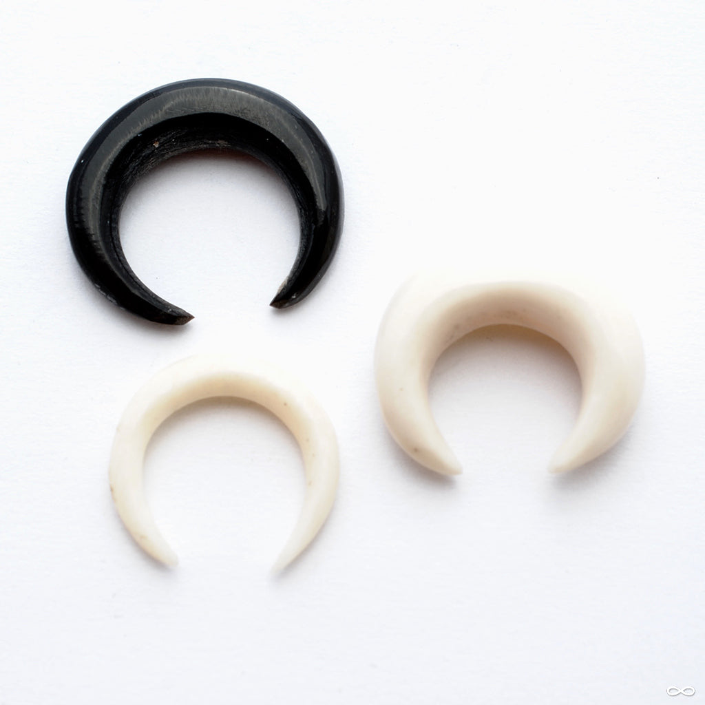 Bone Septum Pincher from Oracle