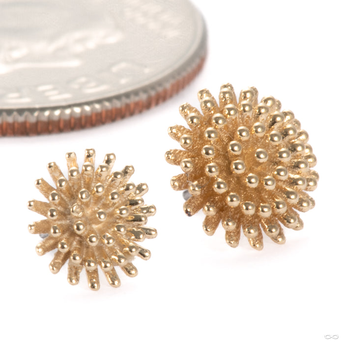 Pincushion Press-fit End in Gold from Tawapa size detail