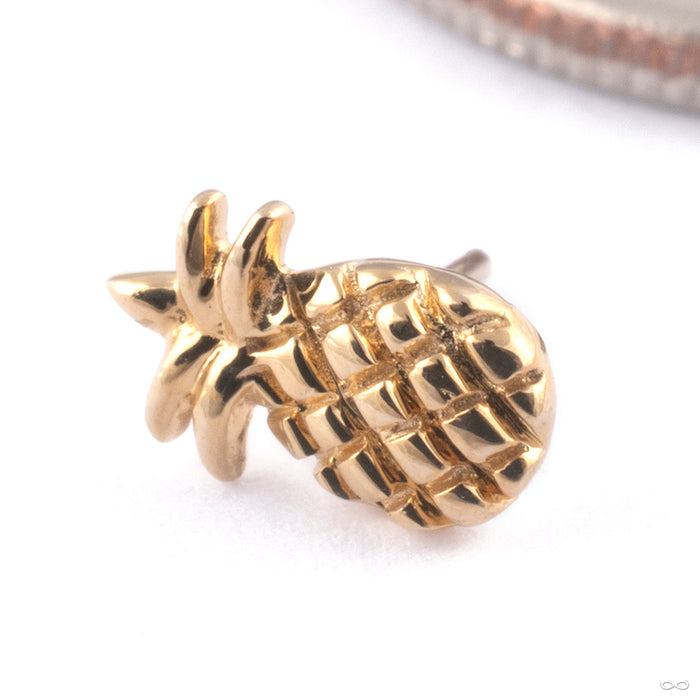 Pineapple Press-fit End in Gold from Junipurr Jewelry in 14k Yellow Gold