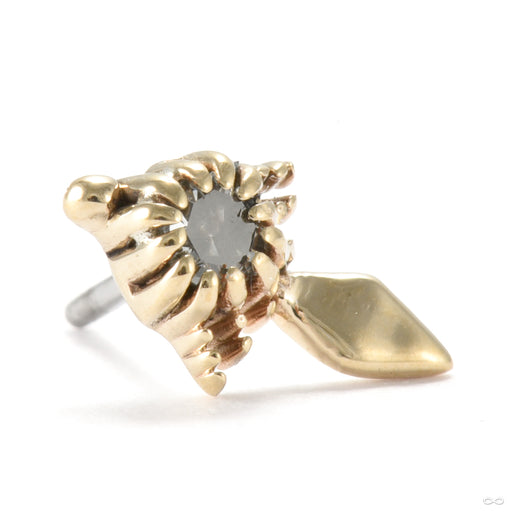 Pinpoint Press-fit End in Gold from Sacred Symbols with black diamond