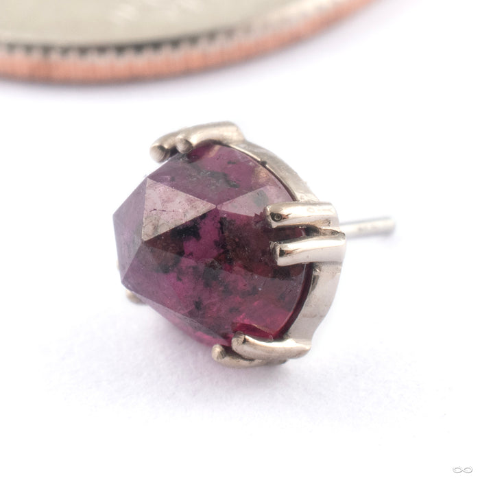 Prong-set Faceted Gem Press-fit End in Gold from Mettle and Silver in 14k White Gold with Winza Ruby Sapphire