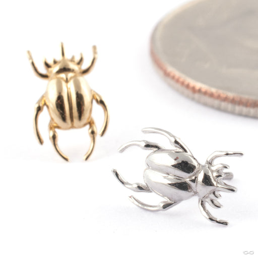Rhino Beetle Press-fit End in Gold from Junipurr Jewelry in assorted materials