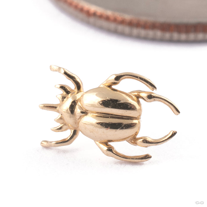 Rhino Beetle Press-fit End in Gold from Junipurr Jewelry in 14k Yellow Gold