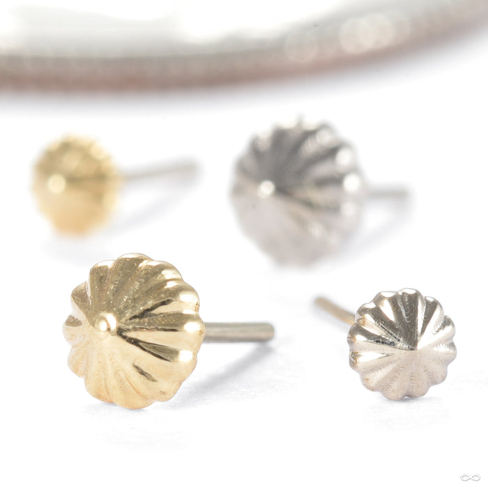 Rivers Kiss Press-fit End in Gold from Regalia in various materials