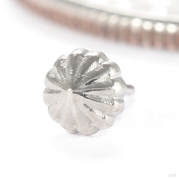 Rivers Kiss Press-fit End in Gold from Regalia in white gold tiny