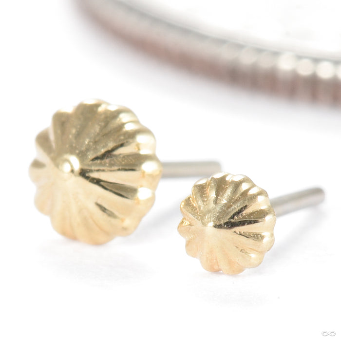 Rivers Kiss Press-fit End in Gold from Regalia in yellow gold size detail