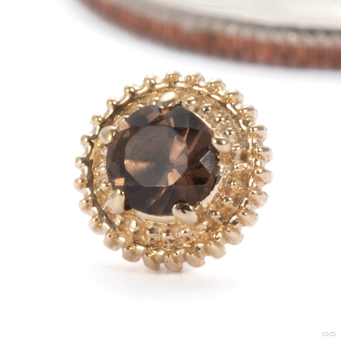 Rosebud Press-fit End in 14k Yellow Gold with SMoky Quartz Medium from Tawapa