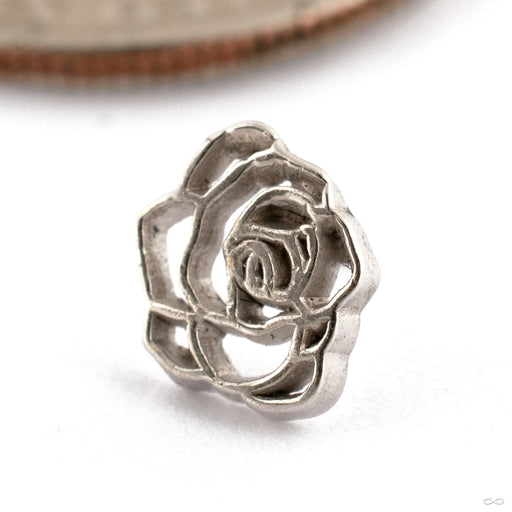 Rosette Press-fit End in Gold from Maya Jewelry in 14k White Gold