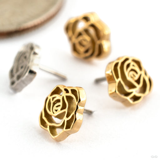 Rosette Press-fit End in Gold from Maya Jewelry Group