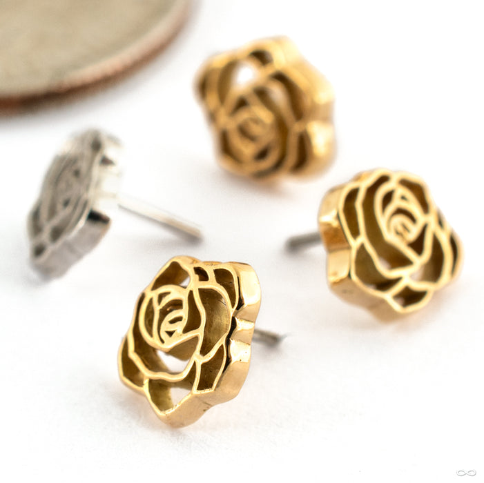 Rosette Press-fit End in Gold from Maya Jewelry Group