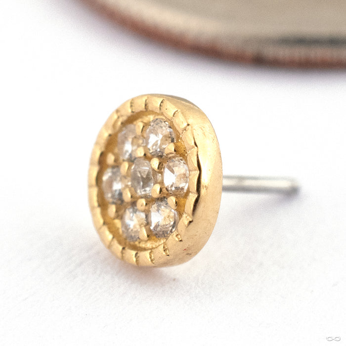 Roulette Press-fit End in Gold from Ember Body Jewelry in 14k Yellow Gold with CZ