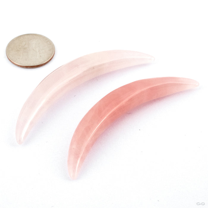 Septum Tusk in Stone from Oracle in Rose Quartz