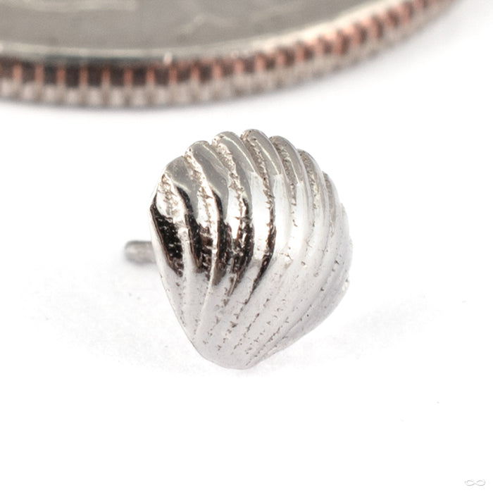 Shell Press-fit End in 14k White Gold from Tawapa