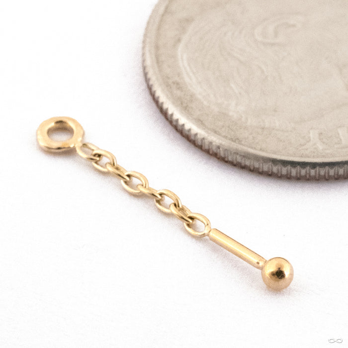 Slim Bitty Charm in Gold from Pupil Hall in 14k Yellow Gold