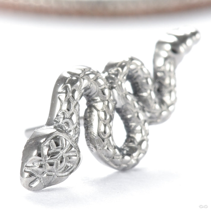 Slither Press-fit End in Titanium from Tawapa in high polish detail